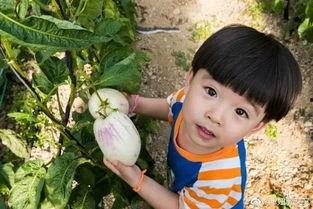 小布布娱乐吃瓜 第2张 小布布娱乐吃瓜 第2张